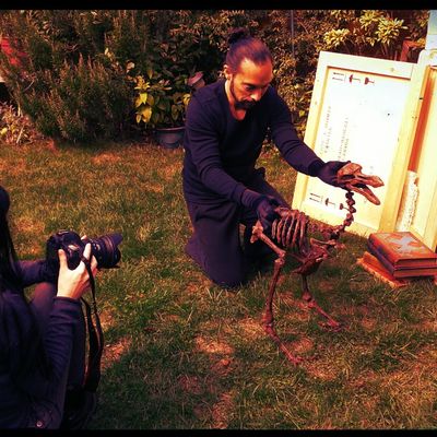 Découvrez la bande annonce de "Sous la varangue" et "L'Os du dodo"