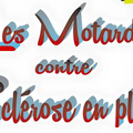 LES MOTARDS CONTRE LA SCLEROSE EN PLAQUES 2016