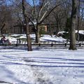 Central Park 7