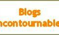 ~ Mes blogs incontournables  ~ 