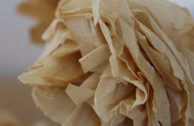 Libérer sa créativité - Jour 6 - fleurs en mouchoir en papier