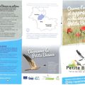 Petite Beauce, terre de Blé et d'oiseaux