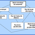  LE CAPITALISME S’APPUIE SUR NOS PEURS ET SUR LA PSYCHOSOCIOLOGIE POUR NOUS FAIRE CONSOMMER PLUS