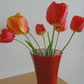 Un bouquet de tulipes