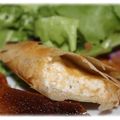 Samoussas ricotta cheddar (actifry ou airfryer )