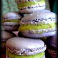 macarons à la pistache