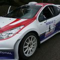 rallye du gier 42 monnet 207 s 