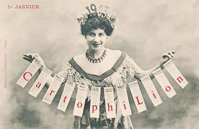 Le CartophiLion : Bilan 2024 du blog 