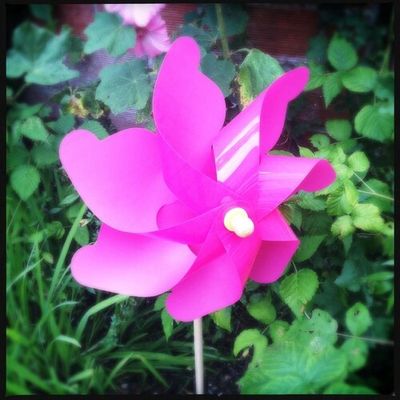 Ton moulin bat trop fort !