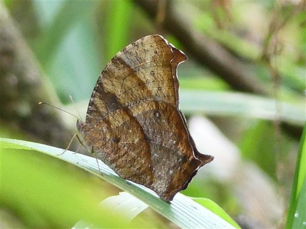 P1300064