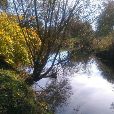 L Homme peut il faire mieux que la nature?