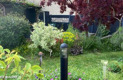 Retour sur les pépites de mon jardin au mois de mai...