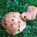 Petits pains au lait comme des animaux (atelier pâtisserie enfant) - à partir de 12 mois