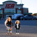 Une promenade avant les courses