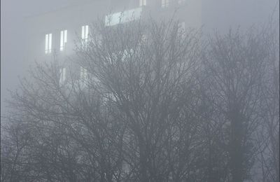 Brume à tous les étages