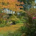 Un jardin romantique aux portes de la Sologne