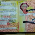 Semaine #1 et #2 pour le journal jar de Stef