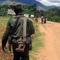Fizi: les FDLR attaquent et pillent les populations