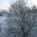 Notre 2e marché de Noël !