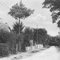 L'avenue Boule à Beauchamp...hier et aujourd'hui