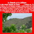 le vignoble du Languedoc-Roussillon