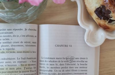 Bonjour Tristesse de Françoise Sagan - chapitre 6