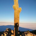 Fin du tour, le Salar de Uyuni