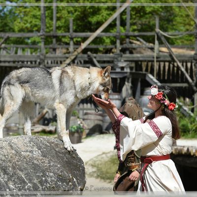 Le Chant de la Dame et du Loup
