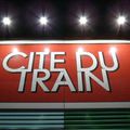 MAI 2015 : La cité du train, Danser sur des musiques LIVE " Think Lloyd et Studio Charline "