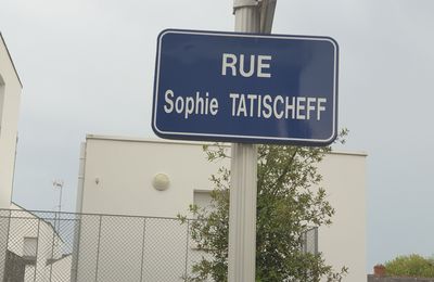 La mouette de Saint-Marc-sur-mer