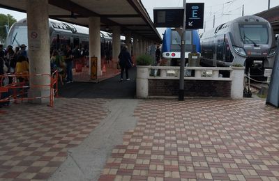 Deux rames Omnéo encadrent un autorail AGC en gare de Deauville, le 30 juillet 2023