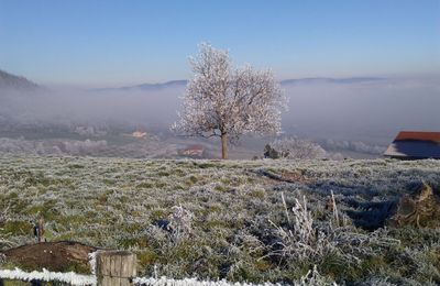# Un hiver givré !