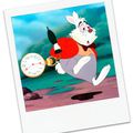 Le Lapin Blanc d'Alice au Pays des Merveilles c'est moi !!