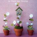 Petits pots de fleurs...