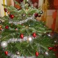 Les sapins illuminent la bloggosphère