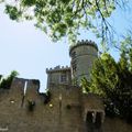 Le Château et l'Eglise de SAINT BLANCARD (32), le 1er juin....