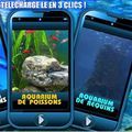  Le Trio des Aquariums : un fond d’écran irrésistible !