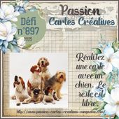 Défi n°897 du 5 juin 2025 - PASSION CARTES CREATIVES MAGAZINE
