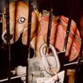 Nous devons abolir la vivisection