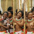 Droits des Femmes: Au Swaziland la danse du roseau qui plie mais ne rompt pas!
