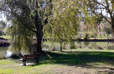 l'Automne sur Aquaval......