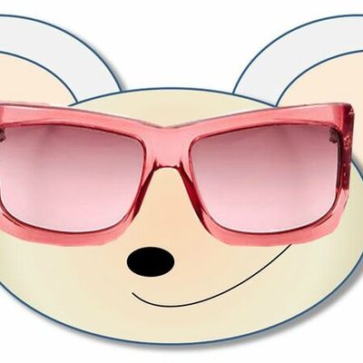 Méfie-toi des faux amis !