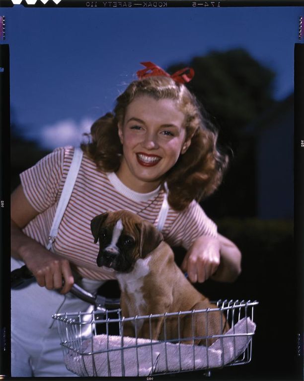 29/06-01/07/2016, PROFILES IN HISTORY, Hollywood Auction 83 - Lots