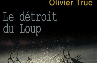 Le Détroit du Loup, par Olivier Truc