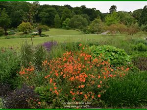 Les jardins de Harlow Carr; YORKSHIRE, Angleterre - 1ère partie/2