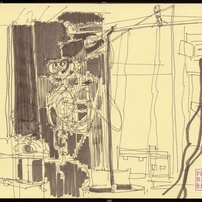 9.I. 2012. 16h05. Othello sans sa peau...Juste avec les os. C'est Bouffou Thépatre , de François 