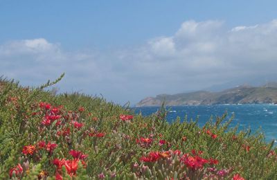 D'Athènes à Paros, puis Naxos , et enfin retour