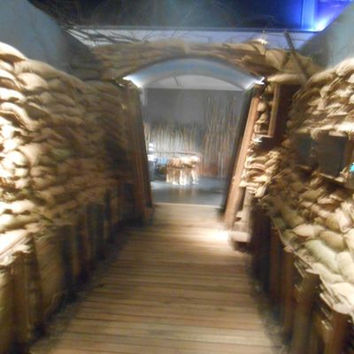 Visite de l'expo 1914-2014, c'est notre histoire