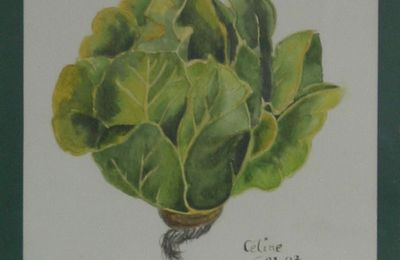 Mes légumes à l'aquarelle