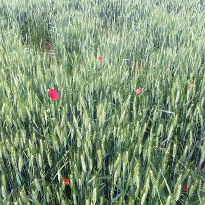 Rendez-vous manqué...